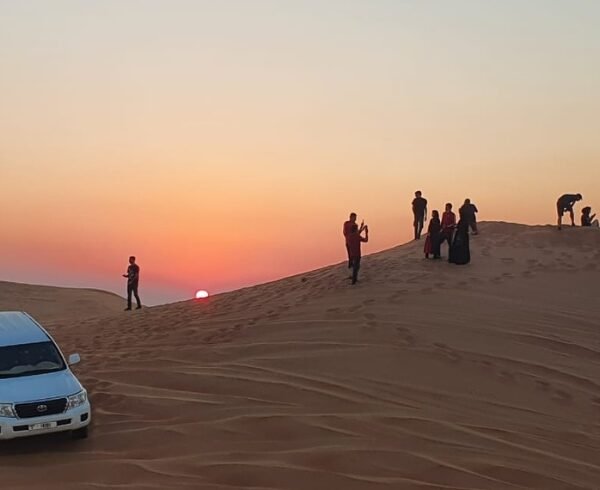 Evening Desert Safari