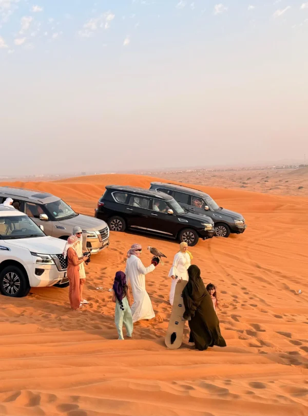 evening desert safari view