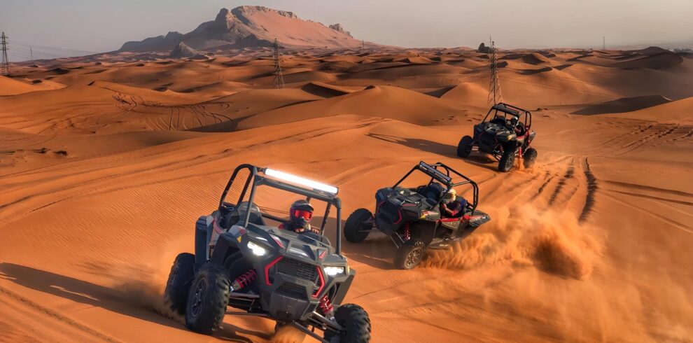 Desert Dune Buggies & Evening Safari Combo