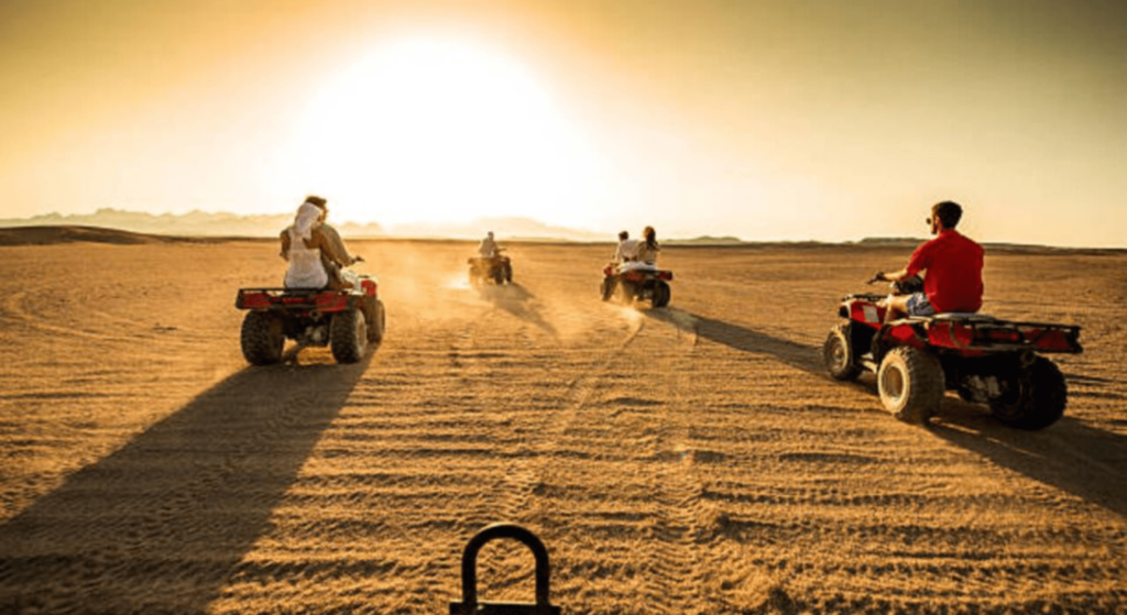 Morning Quad Bike Safari