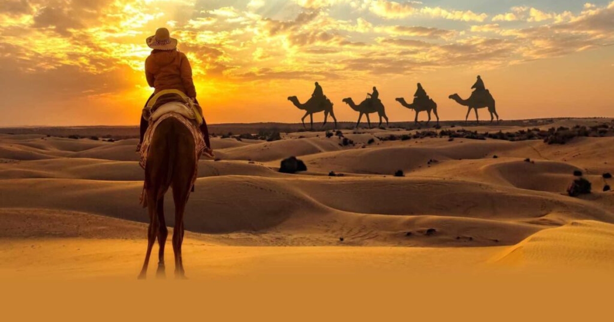 Desert safari Dubai Everything You Wanted To Know In 2024