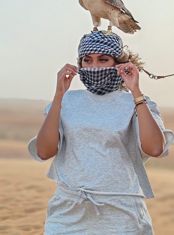 Pic Point Of Dubai Desert Safari