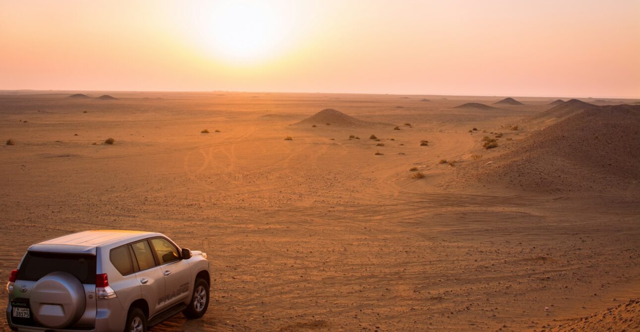 morning desert safari by falcon