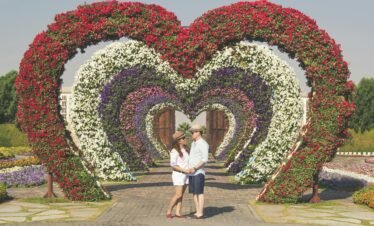 Miracle Garden