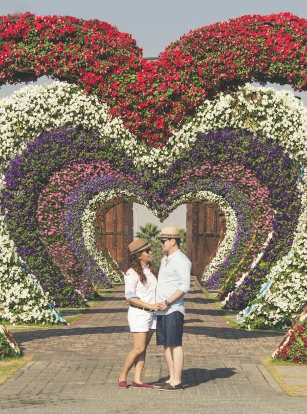 Miracle Garden
