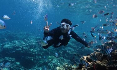 Scuba Diving