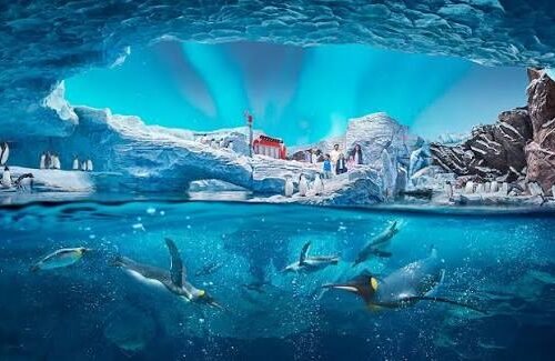 Sea World Abu Dhabi