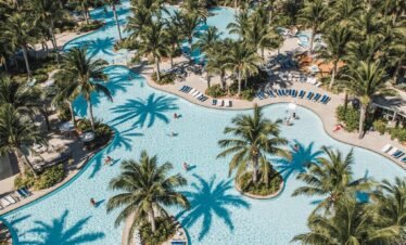 Wild wadi water park