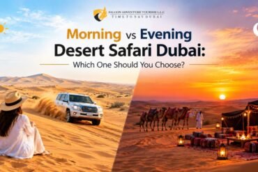 Morning vs Evening Desert Safari Dubai