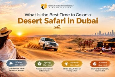 Desert Safari