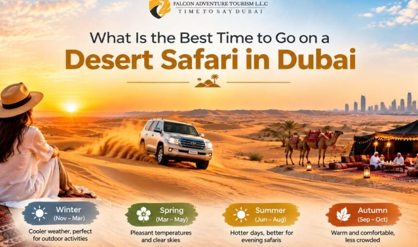 What Is the Best Time to Go on a Desert Safari in Dubai?
