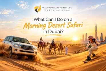 Morning Desert Safari in Dubai