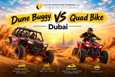 dune buggy vs quad bike Dubai
