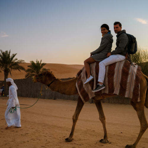 Discover Dubai’s Magic with Falcon Tourism’s Dubai Desert Safari