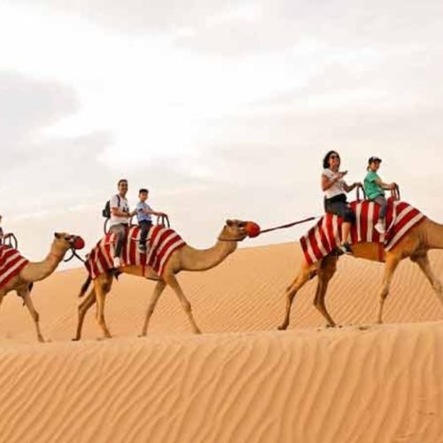 Desert Safari Dubai– A Guide for First-Time Visitors