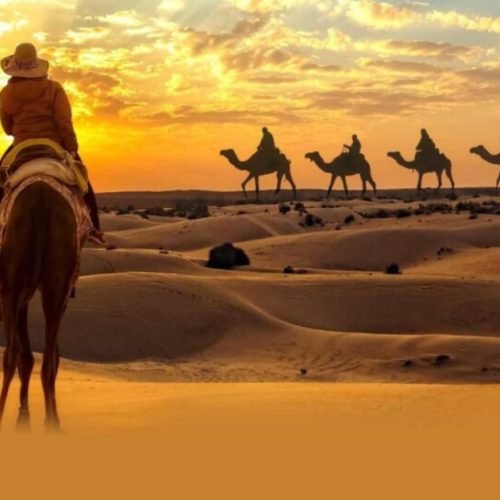 Desert safari Dubai Everything You Wanted To Know In 2024